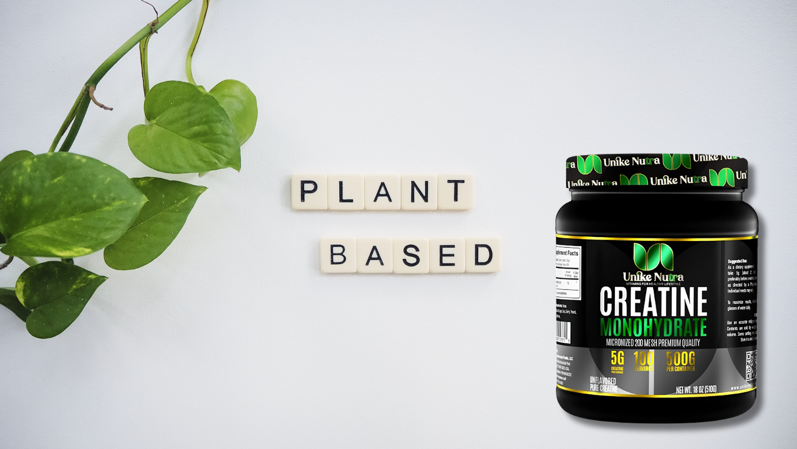 Vegan creatine and performance