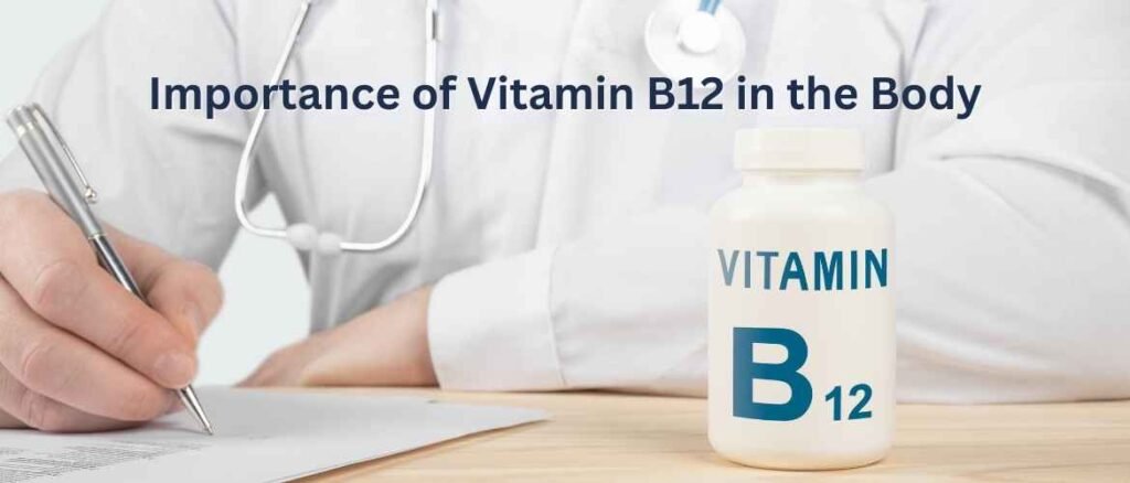 Importance of Vitamin B12