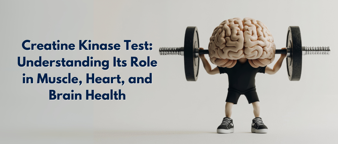 Creatine Kinase Test: Understanding Its Role in Muscle, Heart, and Brain Health