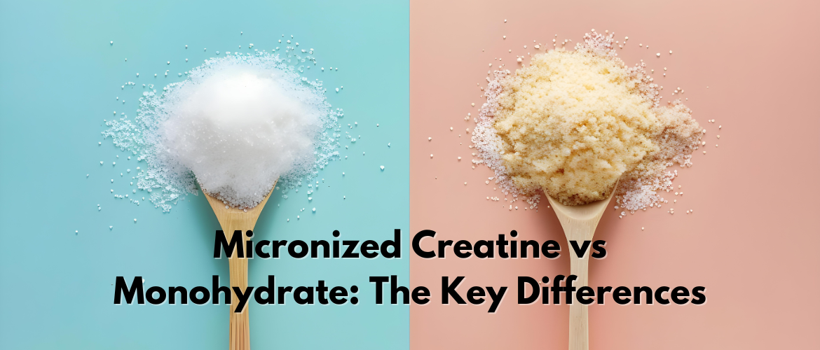 Micronized Creatine vs Monohydrate: The Key Differences in Creatine