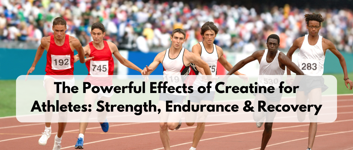 The Powerful Effects of Creatine for Athletes: Strength, Endurance & Recovery