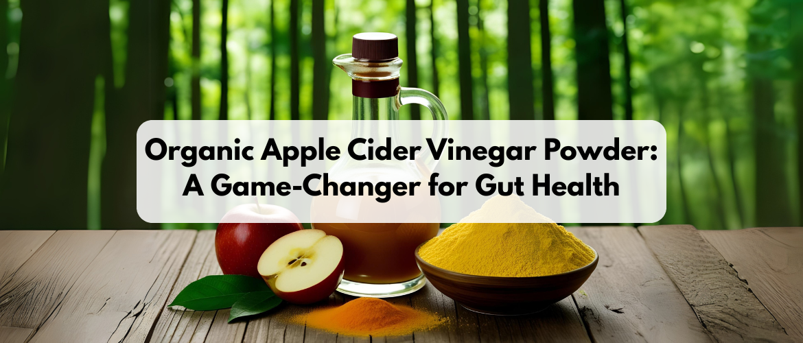 Organic Apple Cider Vinegar Powder: A Game-Changer for Gut Health