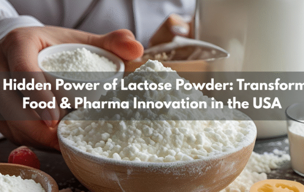 The Hidden Power of Lactose Powder: Transforming Food & Pharma Innovation in the USA