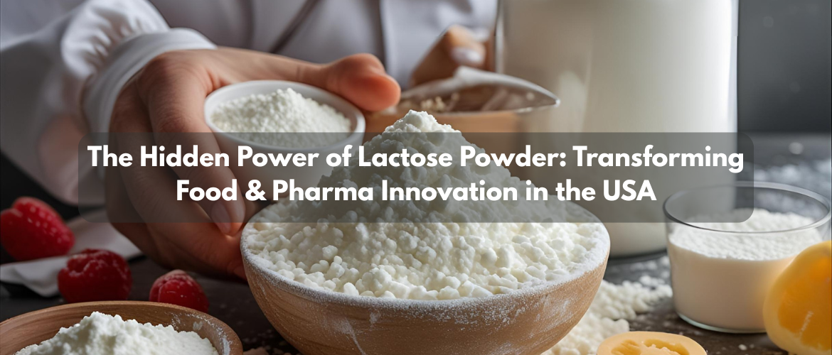 The Hidden Power of Lactose Powder: Transforming Food & Pharma Innovation in the USA