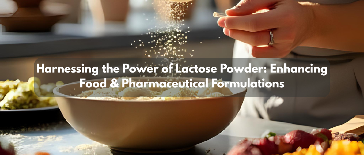 Harnessing the Power of Lactose Powder: Enhancing Food & Pharmaceutical Formulations