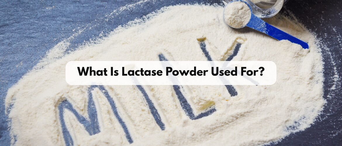 Discover how lactase powder helps break down lactose, improves digestion, and enables lactose-free dairy, supplements, and pharma products