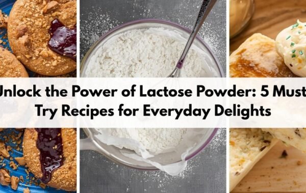 Unlock the Versatility of Lactose Powder: Delicious Recipes for Every Kitchen